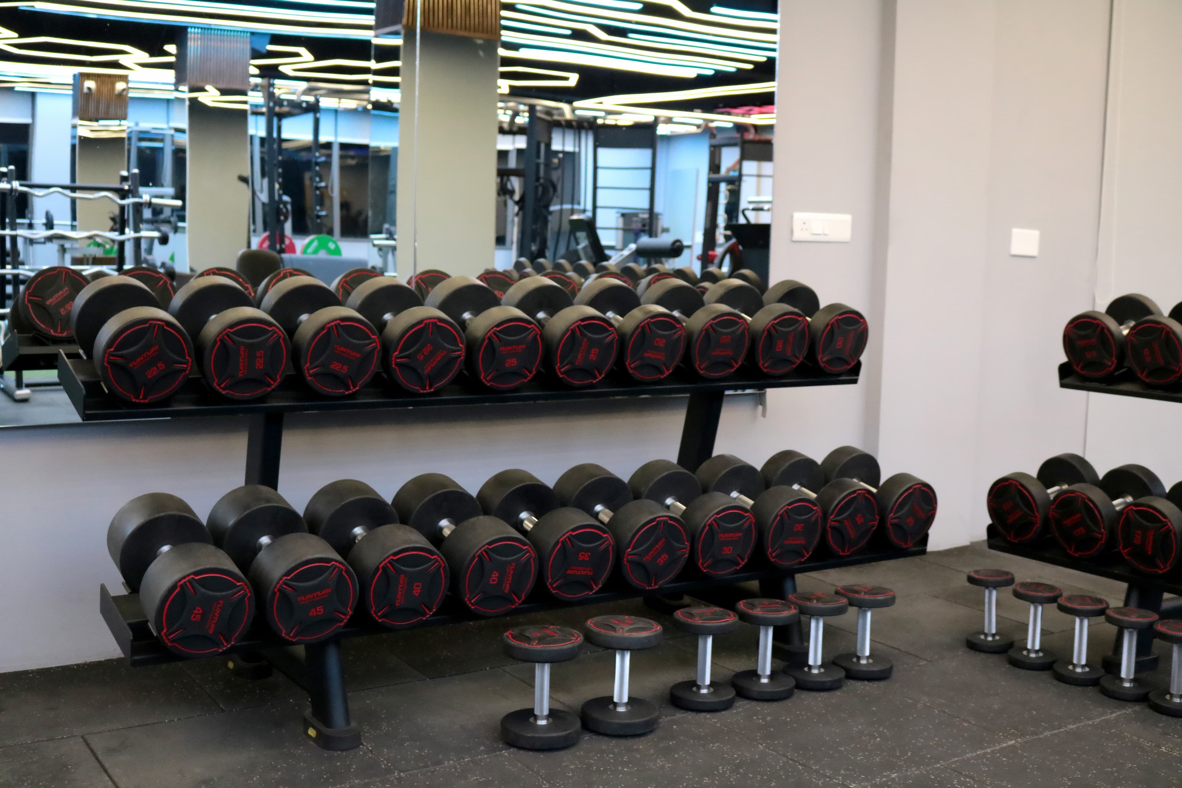 Dumbell Section